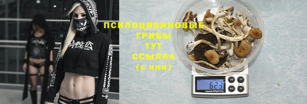 apvp Гусев