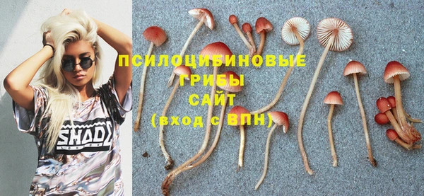 ALPHA PVP Покровск